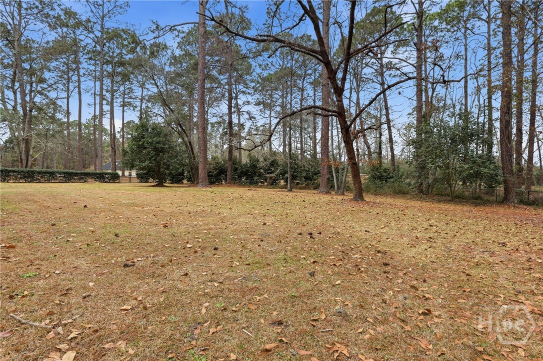 208 Timberline Road Property Photo 46