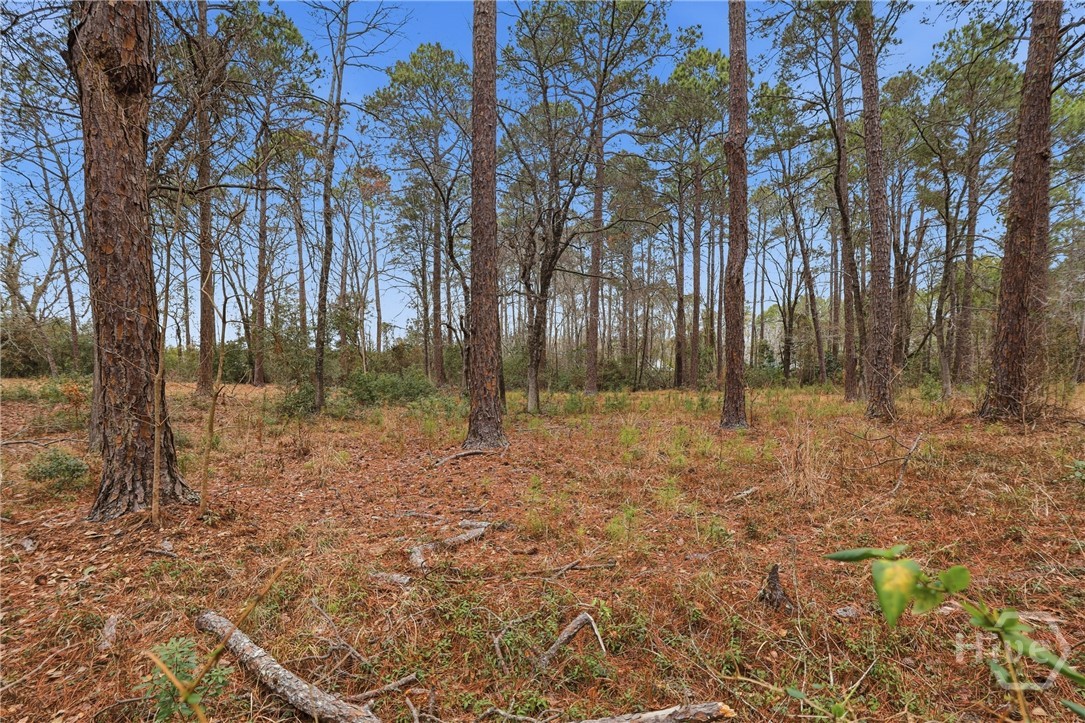 208 Timberline Road Property Photo 47