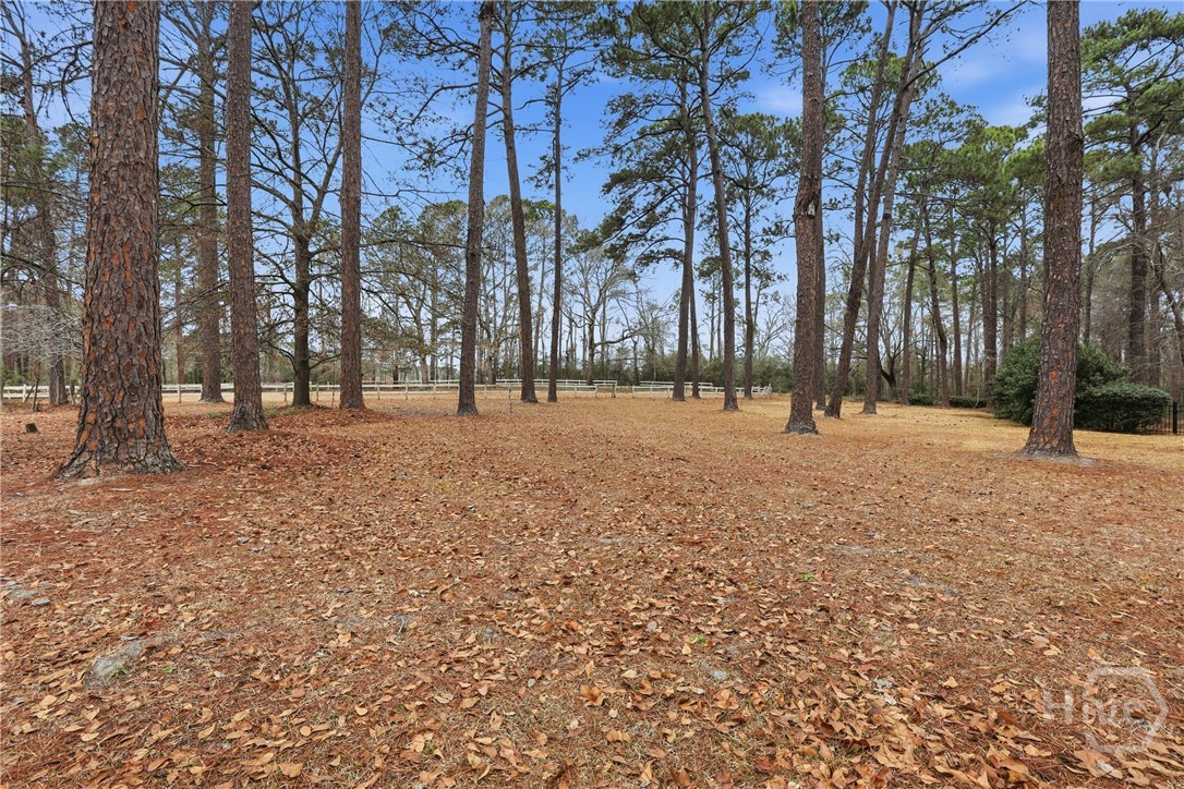 208 Timberline Road Property Photo 52