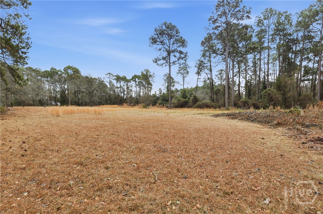 208 Timberline Road Property Photo 54