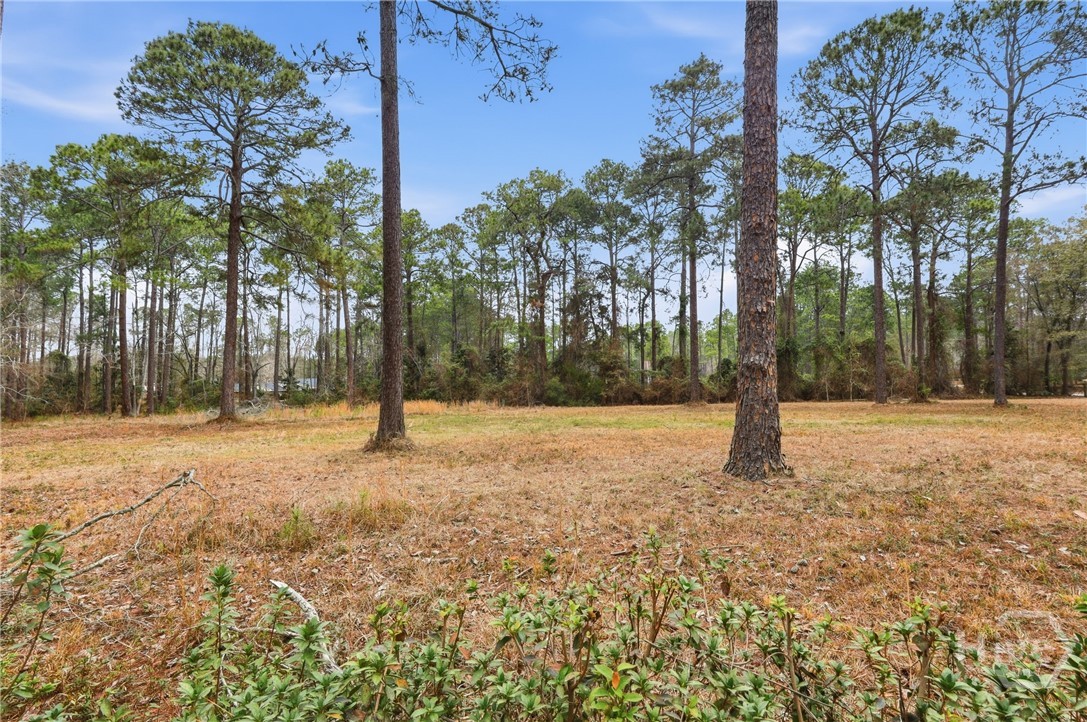 208 Timberline Road Property Photo 60