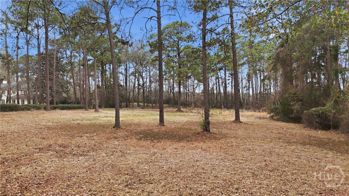 208 Timberline Road Property Photo 61