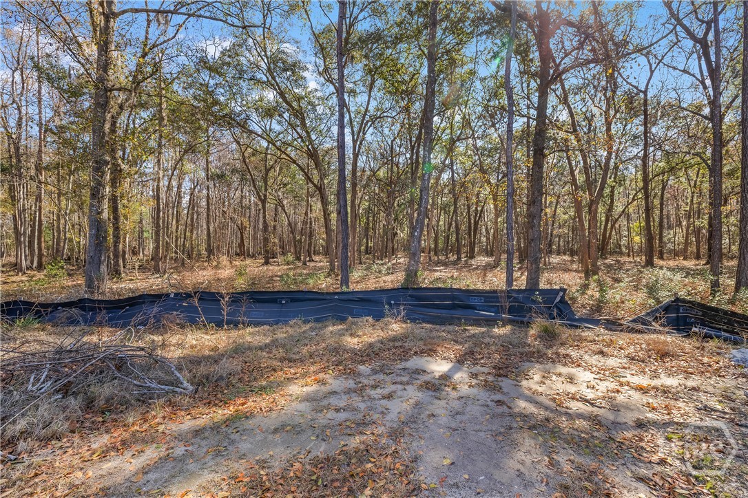 143 Wood Haven Lane Property Photo 4