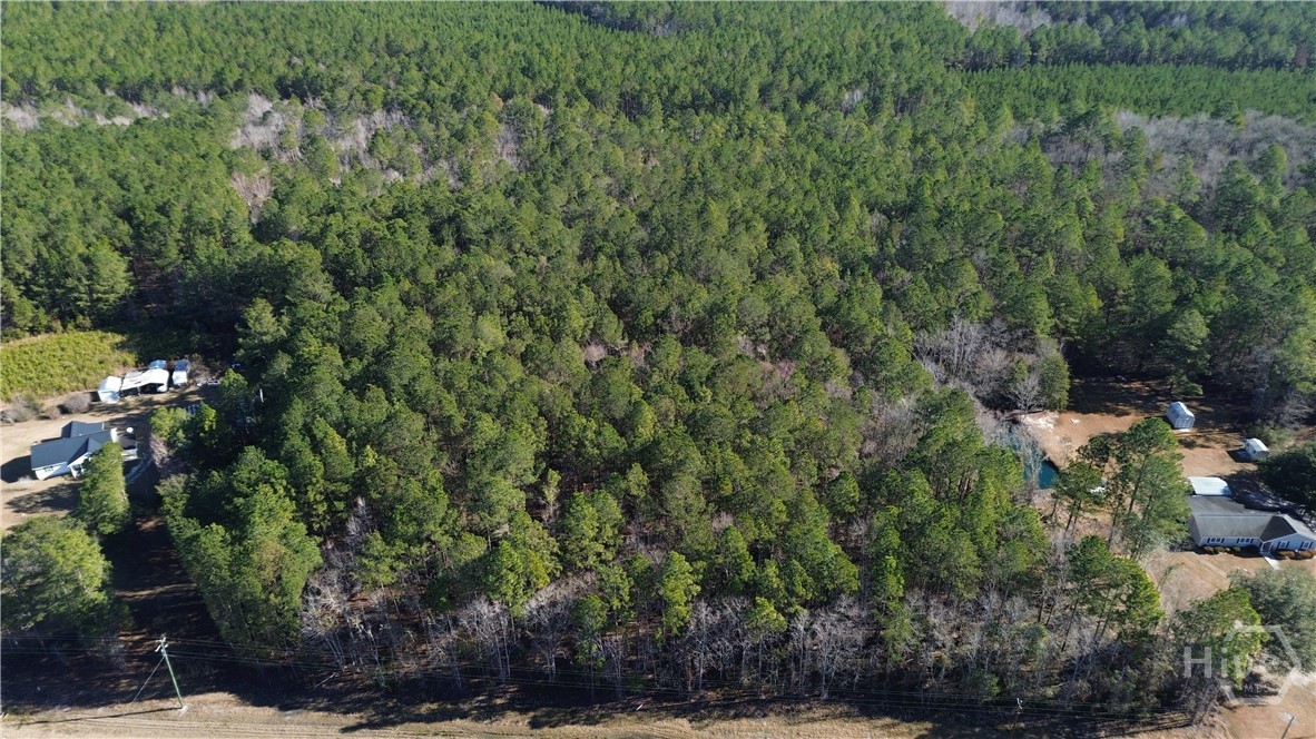 0 Highway 21 N Property Photo 2