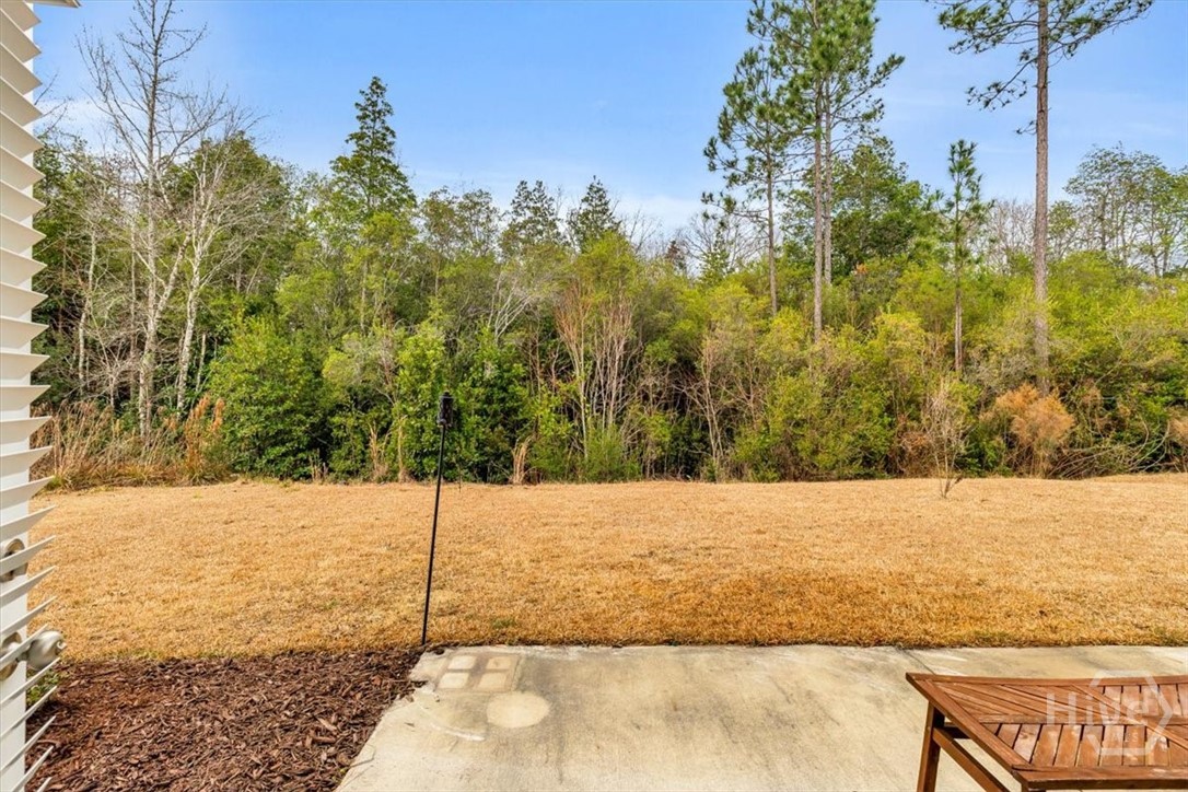 276 Bright Leaf Circle Property Photo 37