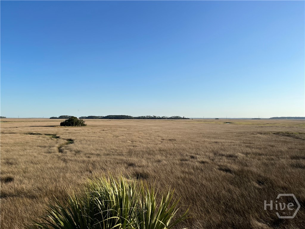 363 Coffee Bluff Villa Road Property Photo 1
