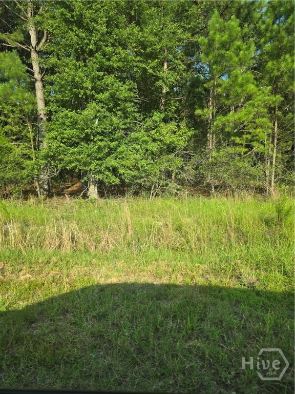 3131 Okatie Hwy Property Photo 1
