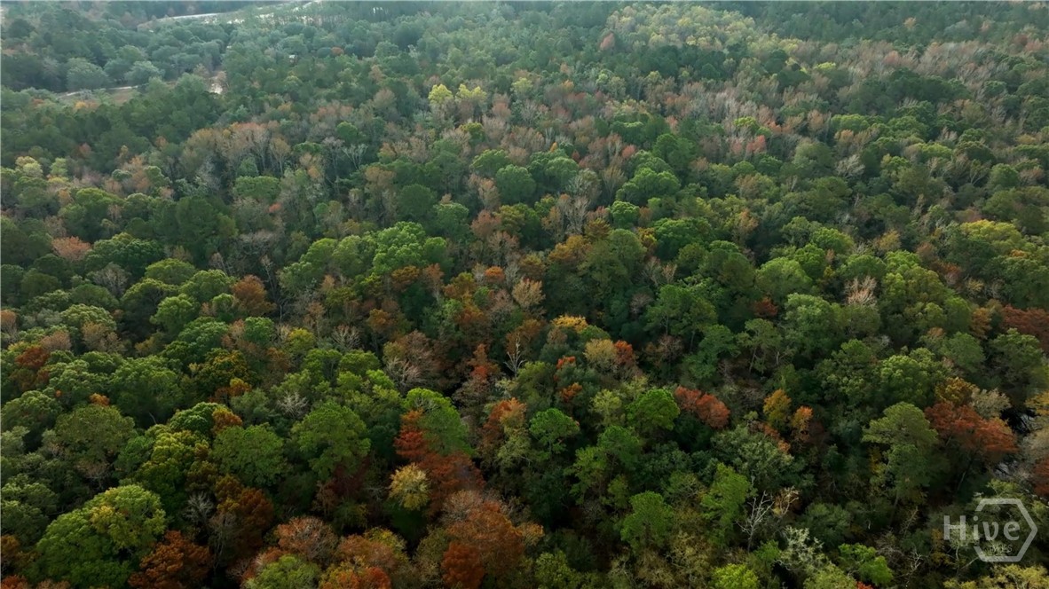 0 Twin Forks/martin Road Tract 5 Property Photo 4