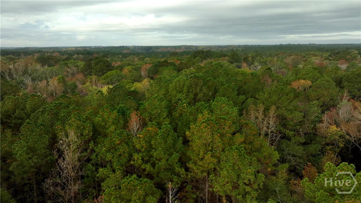 0 Twin Forks/martin Road Tract 5 Property Photo 5
