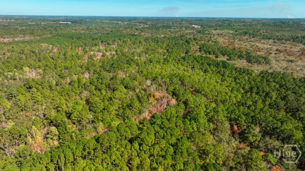 0 Twin Forks/martin Road Tract 5 Property Photo 6