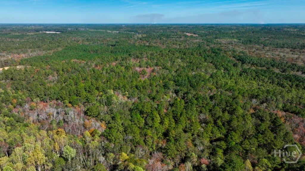 0 Twin Forks/martin Road Tract 5 Property Photo 7