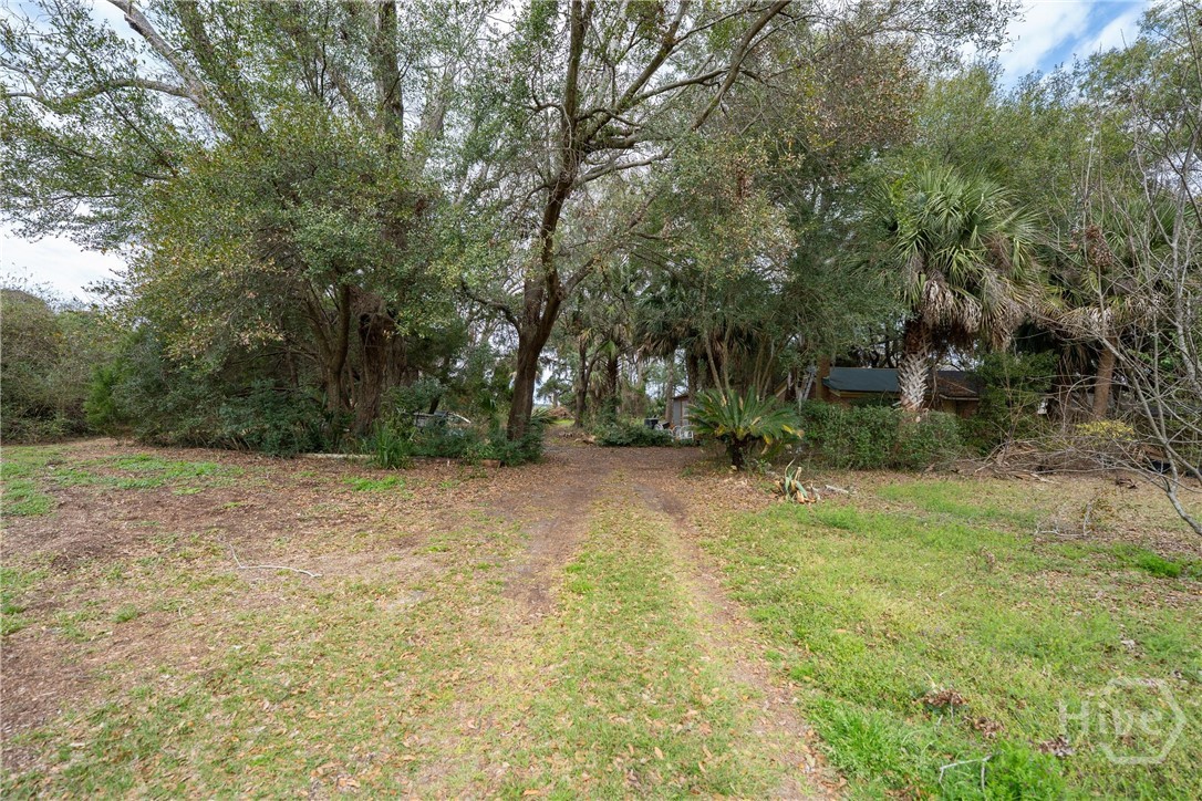 13 Sassafras Lane Property Photo 10