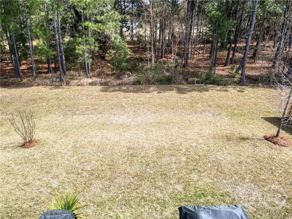 124 Brookline Drive Property Photo 39