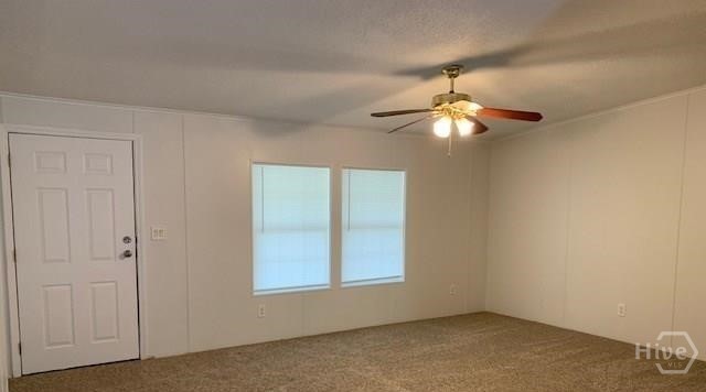6234 - A Property Photo 33