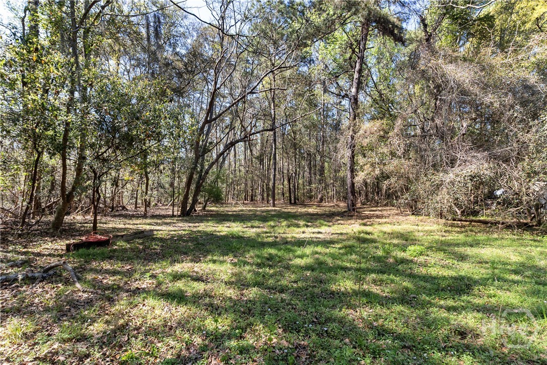 8454 Ga 17 Highway Property Photo 8
