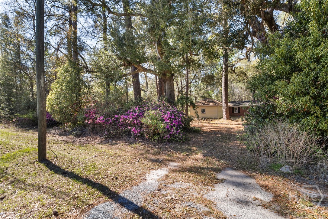 8454 Ga 17 Highway Property Photo 9