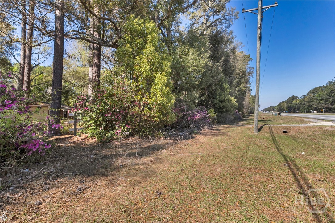 8454 Ga 17 Highway Property Photo 10