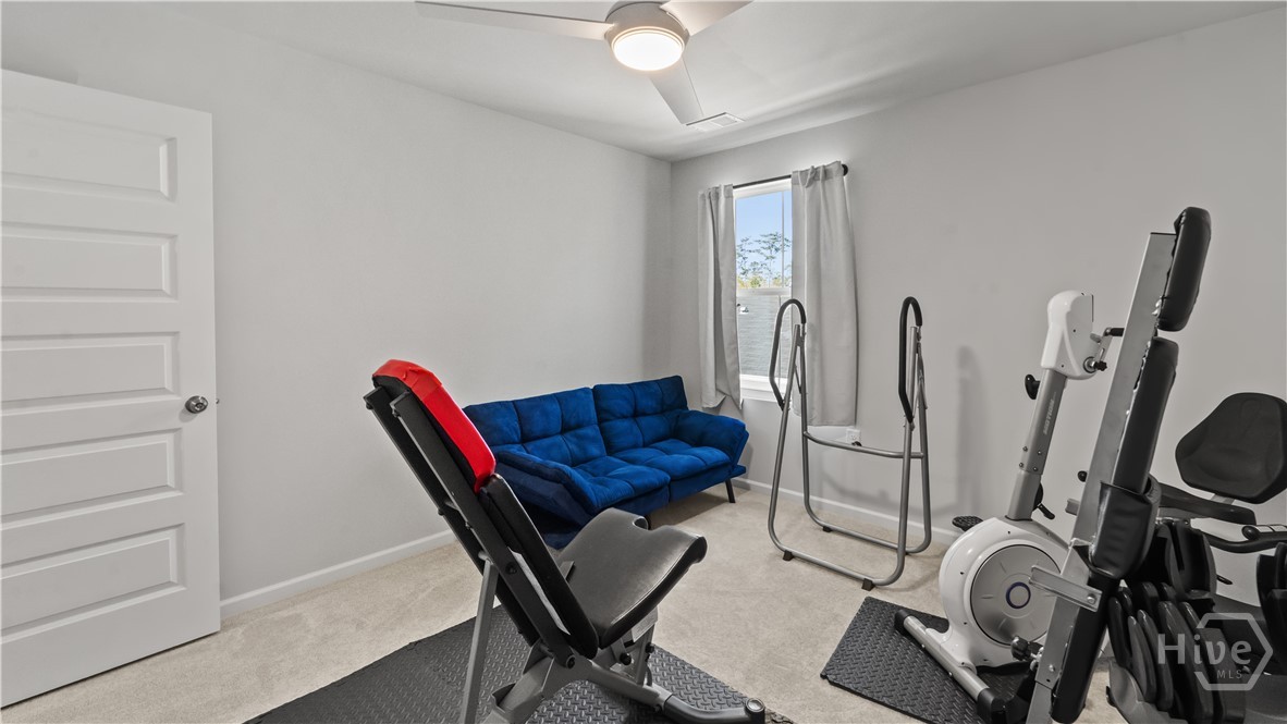 293 Lillian Street Property Photo 39