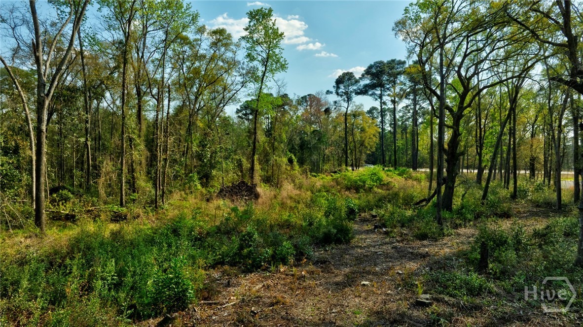 2502 Staley Avenue Property Photo 15