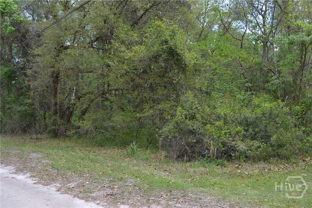 0 S Hickory Street Property Photo 2