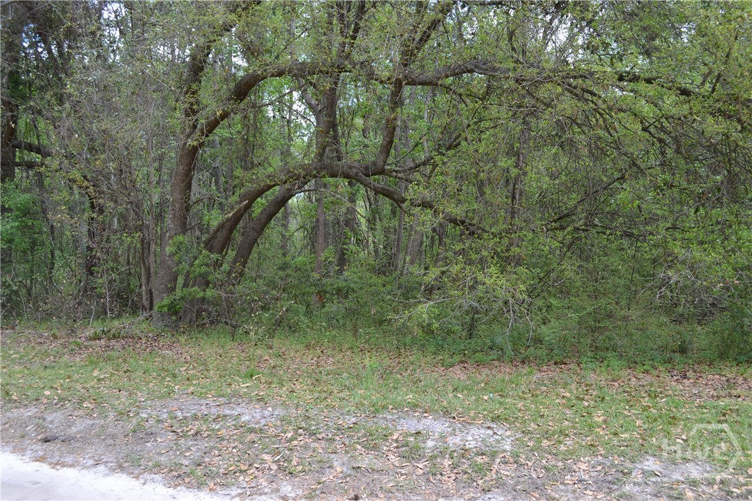 0 S Hickory Street Property Photo 3