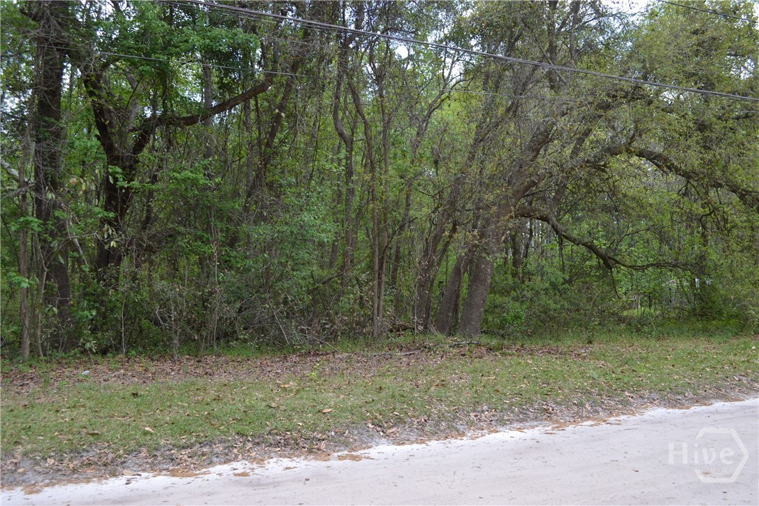 0 S Hickory Street Property Photo 4