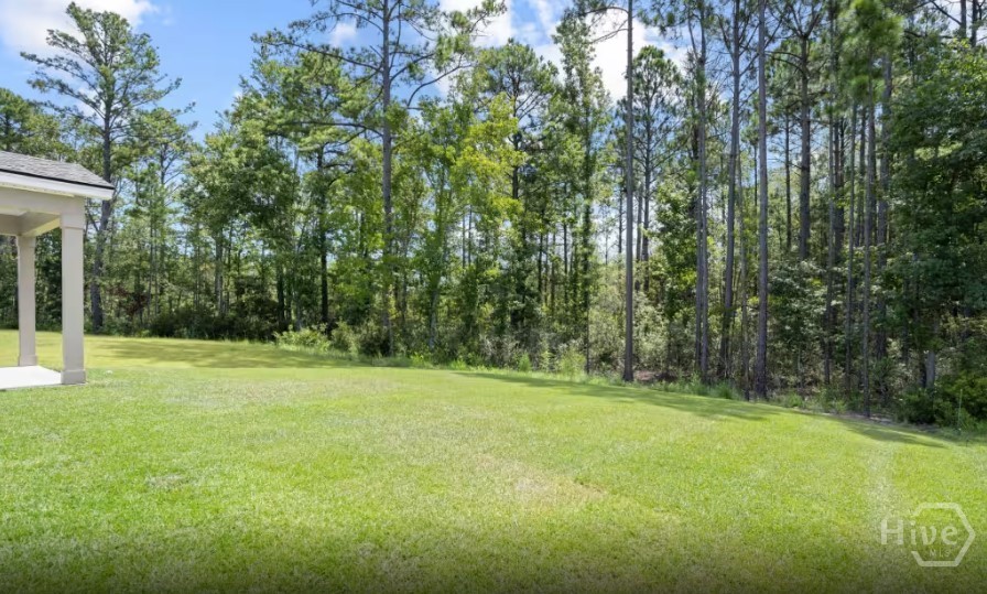 386 Monterey Loop Property Photo 17