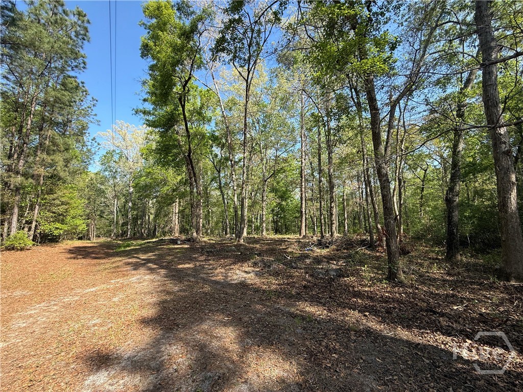 315 High Bluff Road Property Photo 2