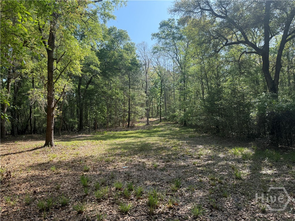 315 High Bluff Road Property Photo 3