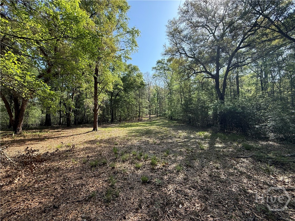 315 High Bluff Road Property Photo 5