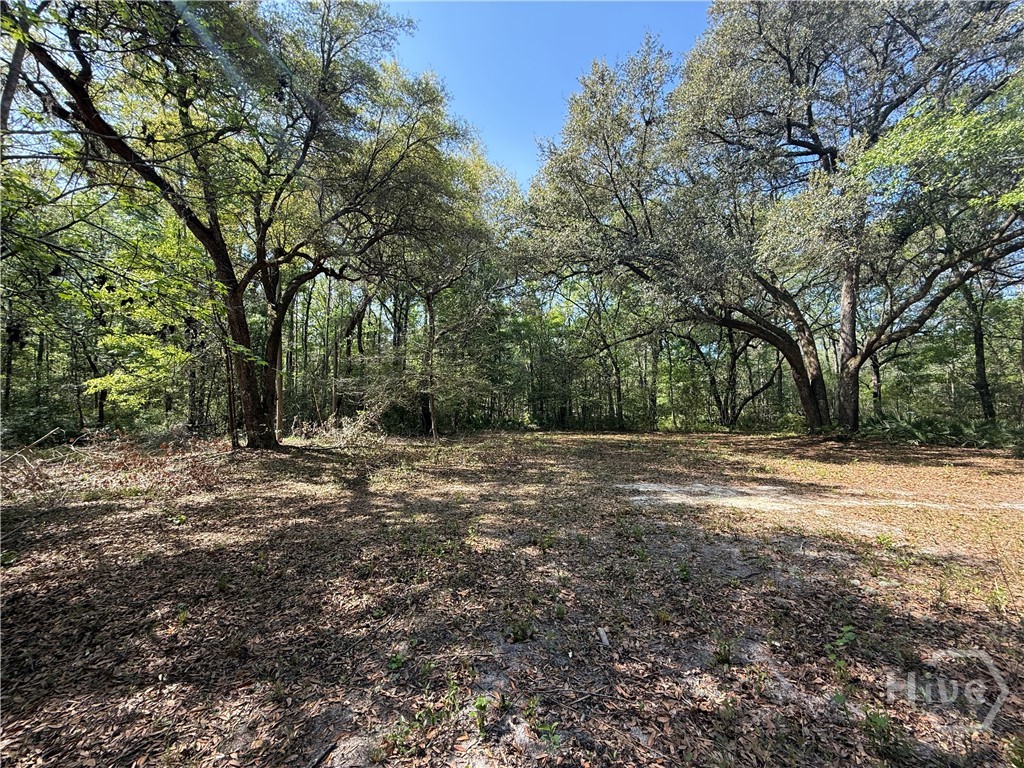 315 High Bluff Road Property Photo 6