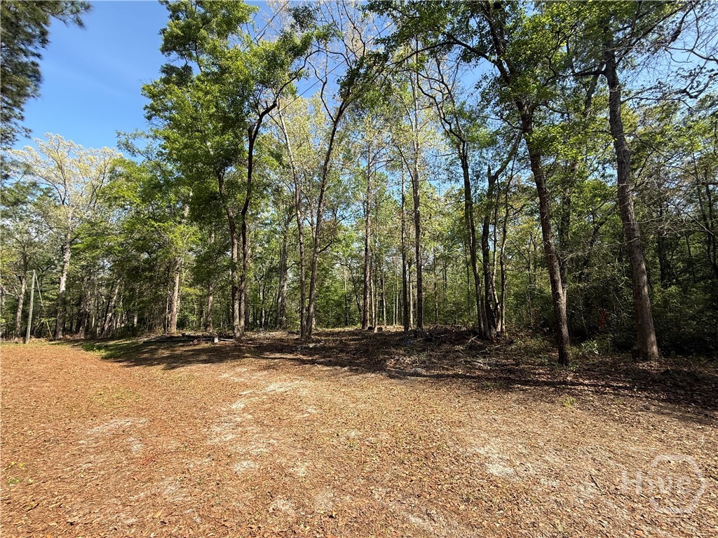 315 High Bluff Road Property Photo 9