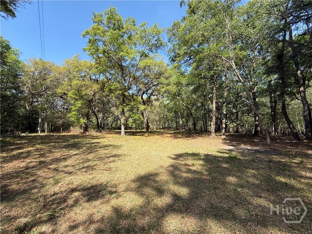 315 High Bluff Road Property Photo 10