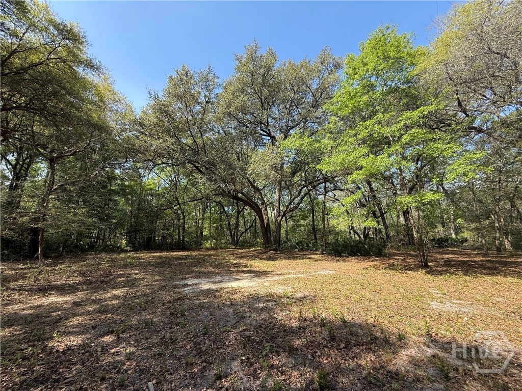 315 High Bluff Road Property Photo 11