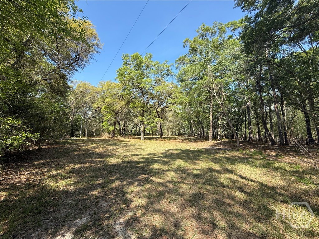315 High Bluff Road Property Photo 12