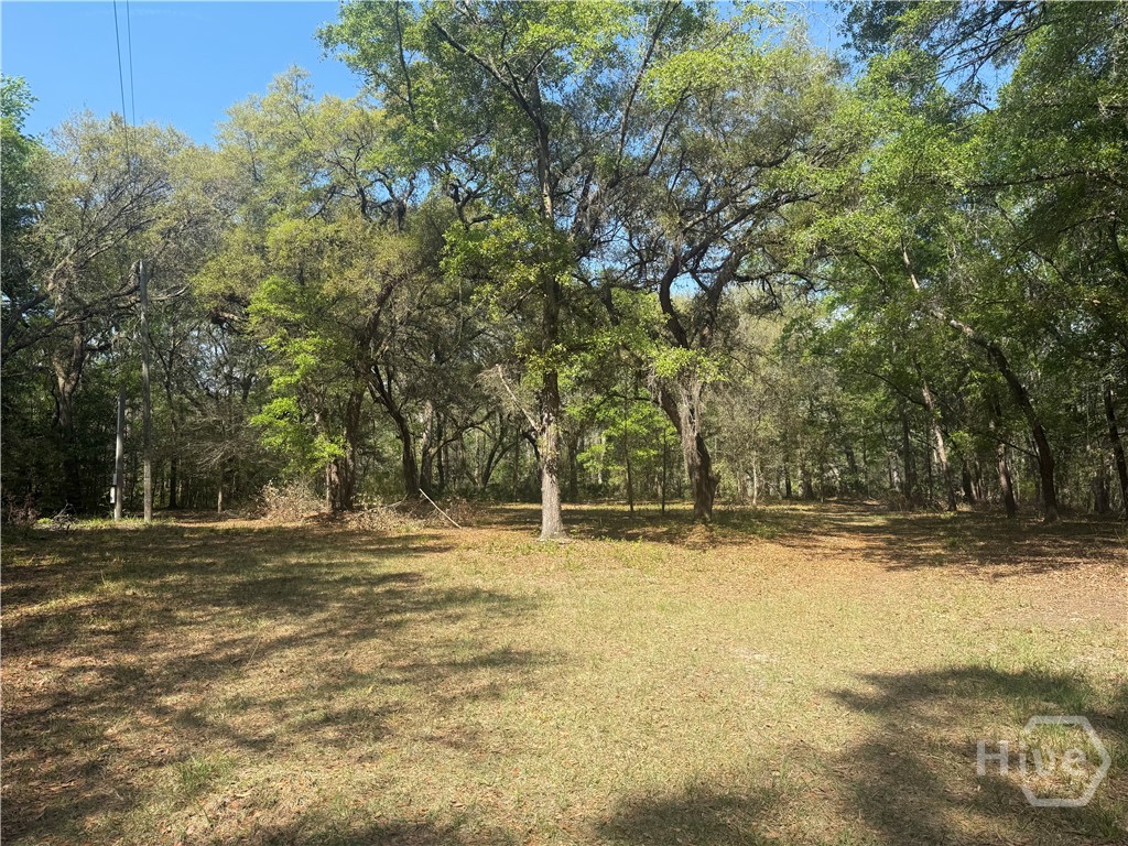 315 High Bluff Road Property Photo 13