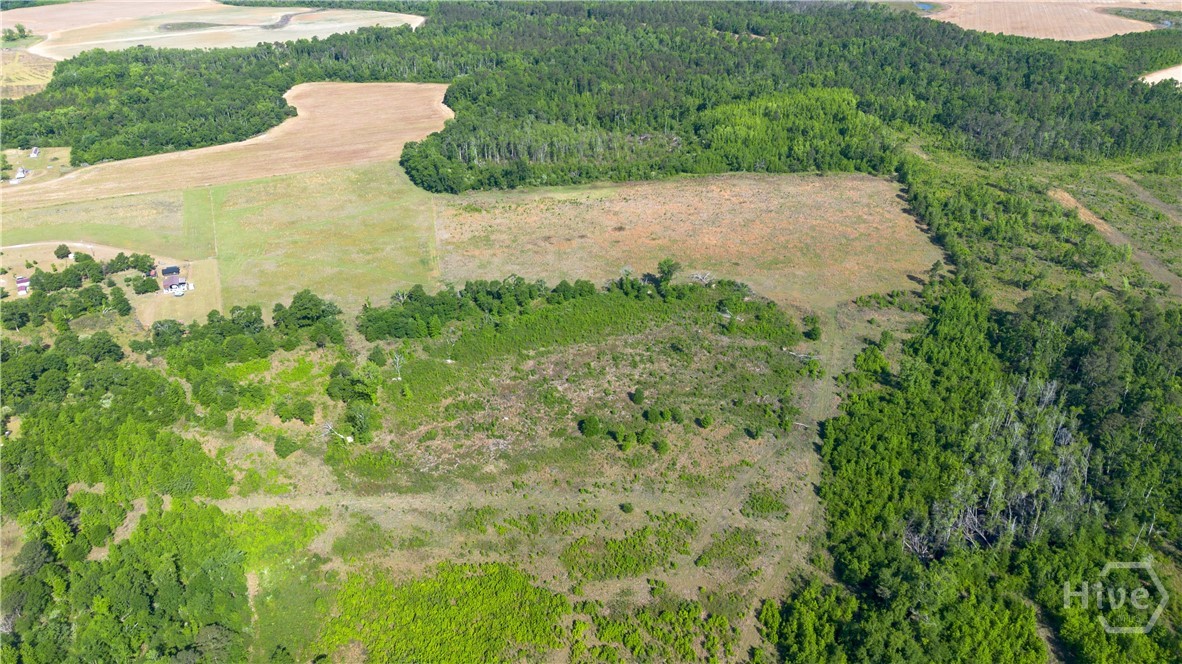 0 Scott's Store Road Property Photo 8