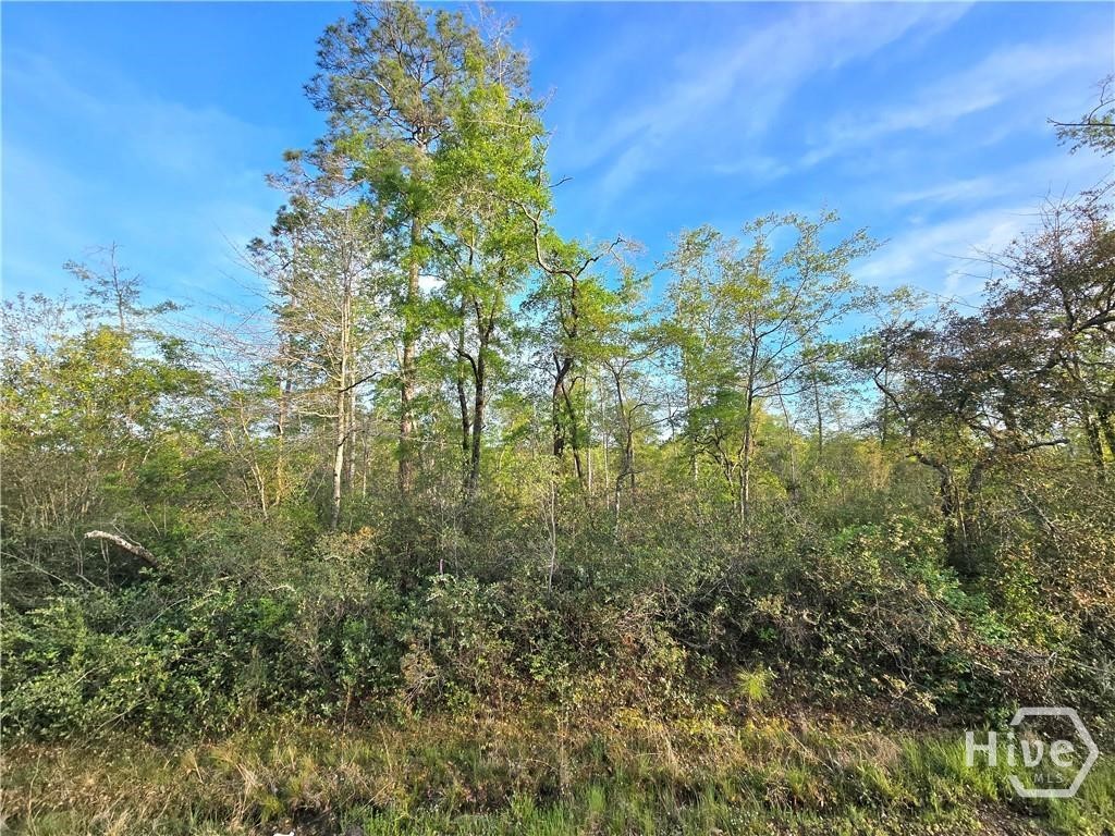 0 Hwy 204 Highway Property Photo 1