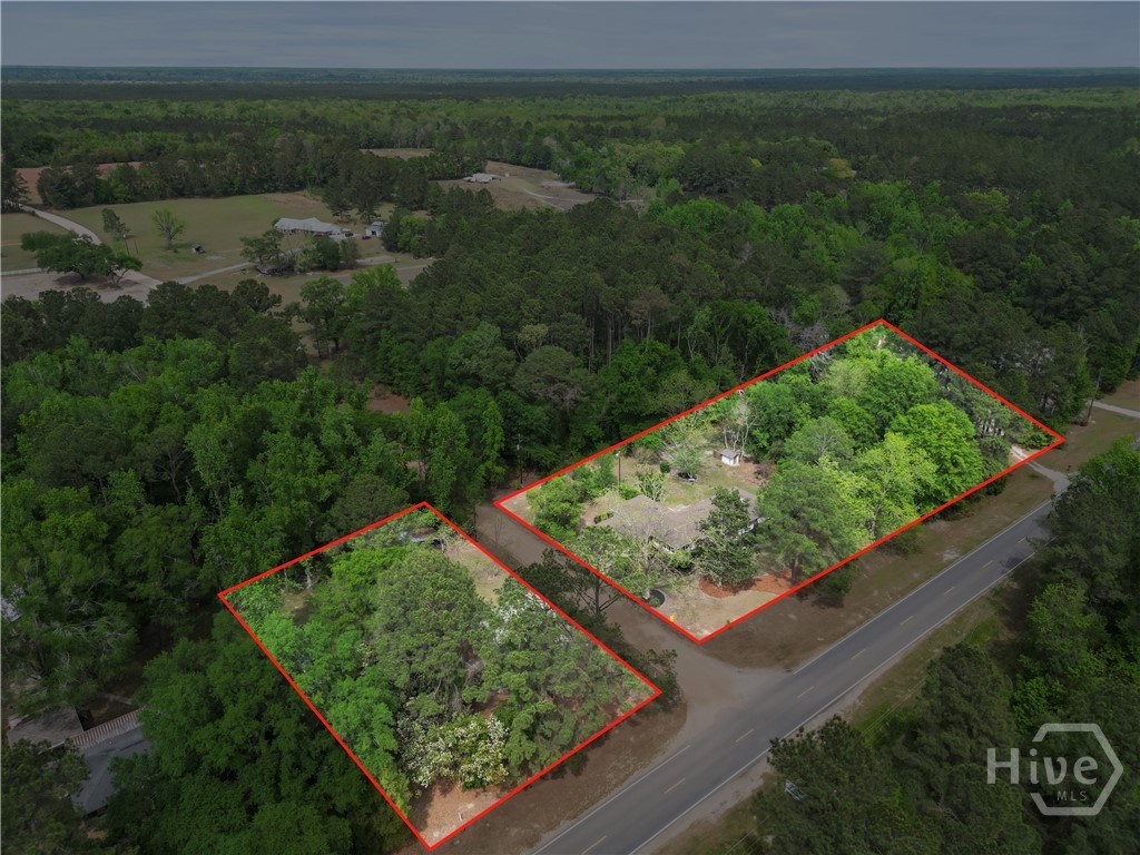 22731 Ga Highway 46 Property Photo 4