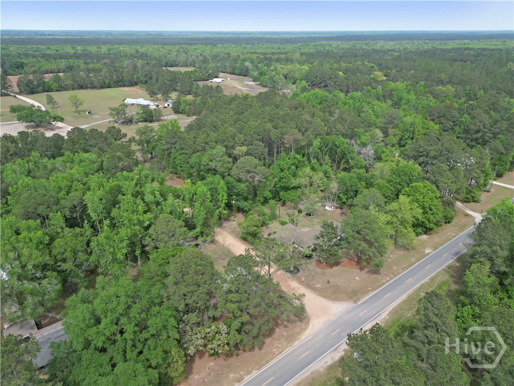 22731 Ga Highway 46 Property Photo 34