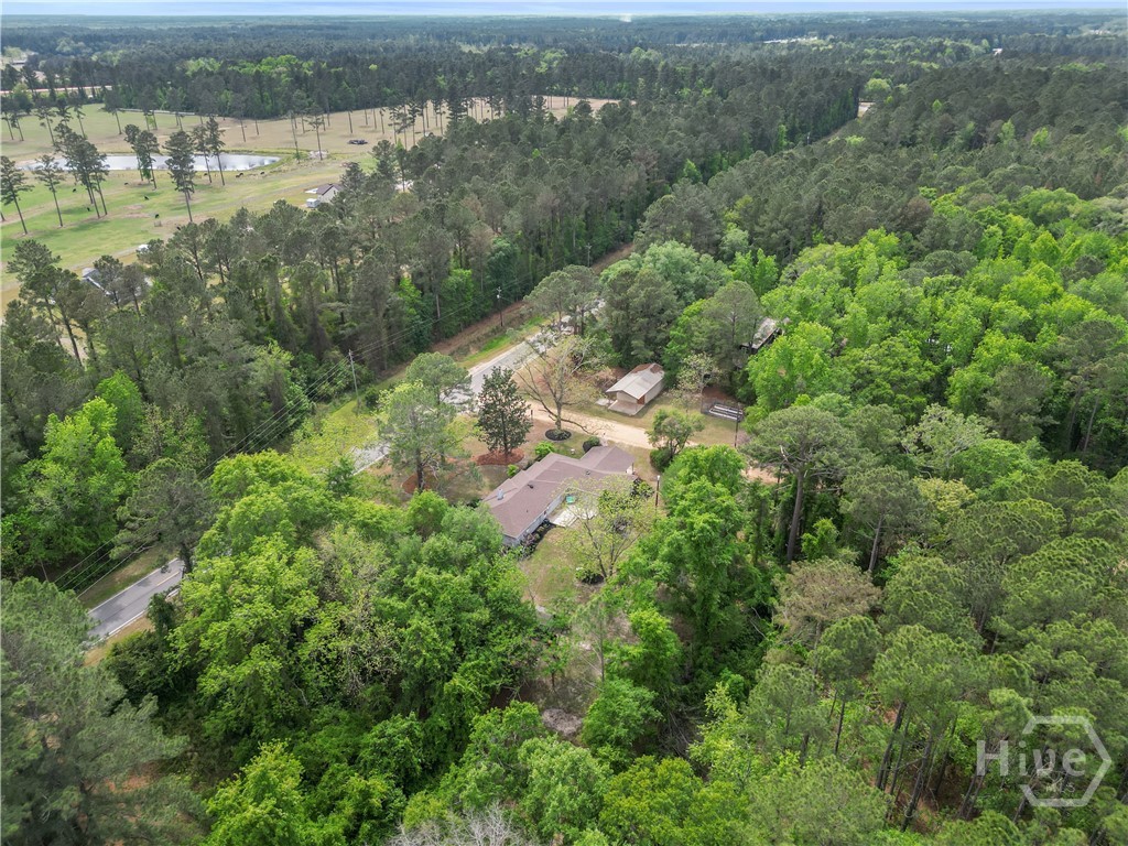 22731 Ga Highway 46 Property Photo 35