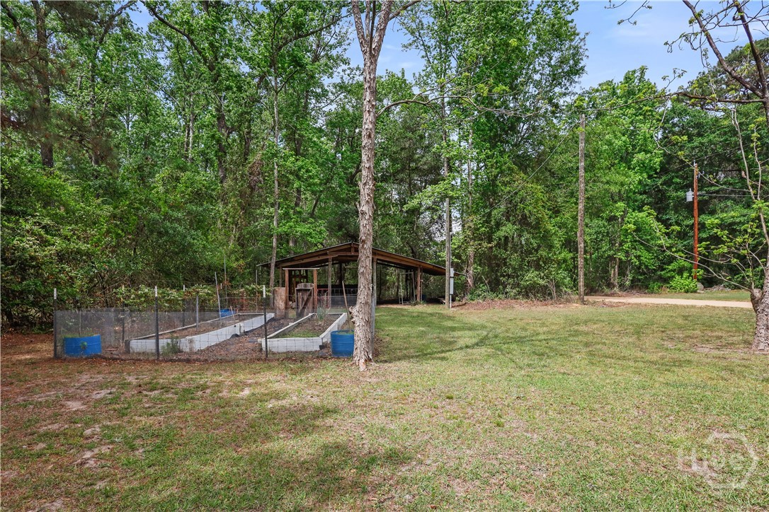 22731 Ga Highway 46 Property Photo 37