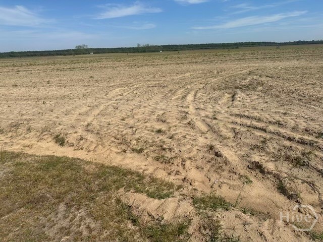 2905 Donald Cobb Road Property Photo 4
