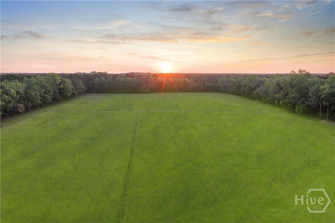 1151 Harry Lindsay Road Property Photo 69