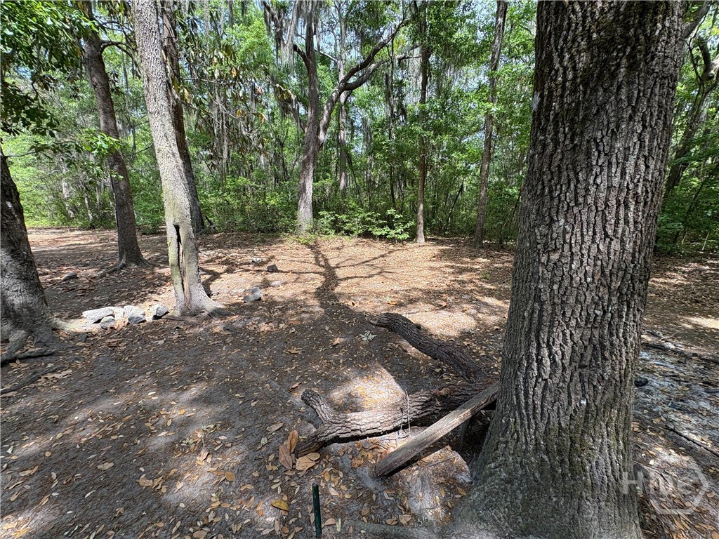 74 Beulah Road Property Photo 21