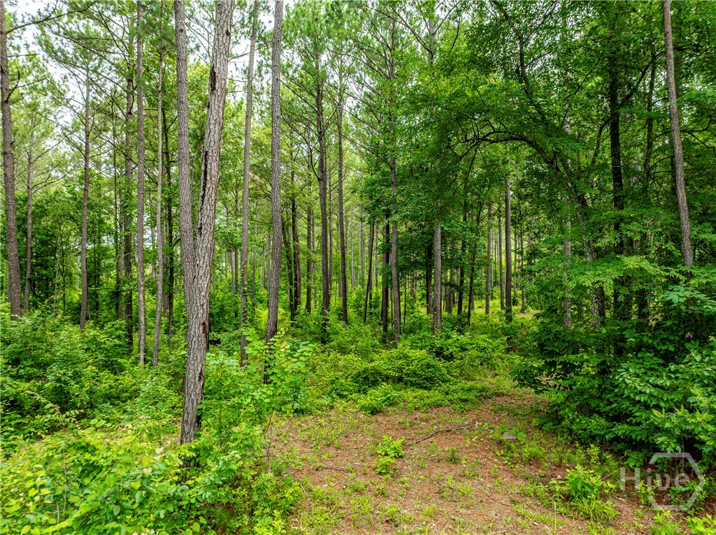 3385 Highway 83 S Property Photo 53