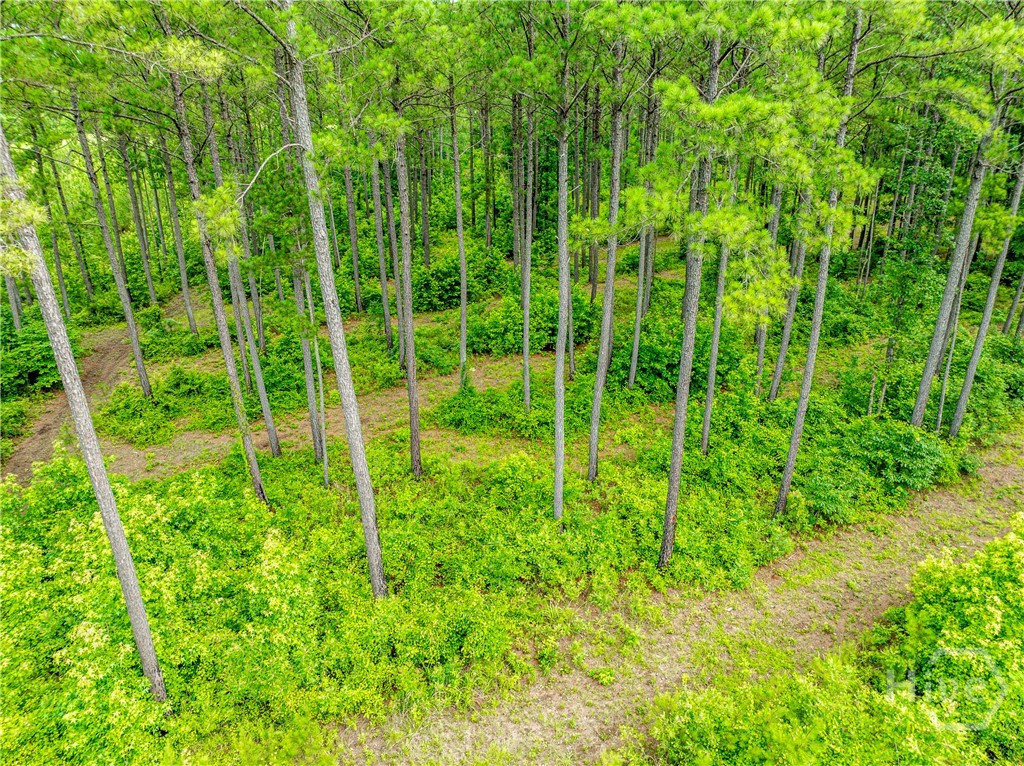 3385 Highway 83 S Property Photo 54