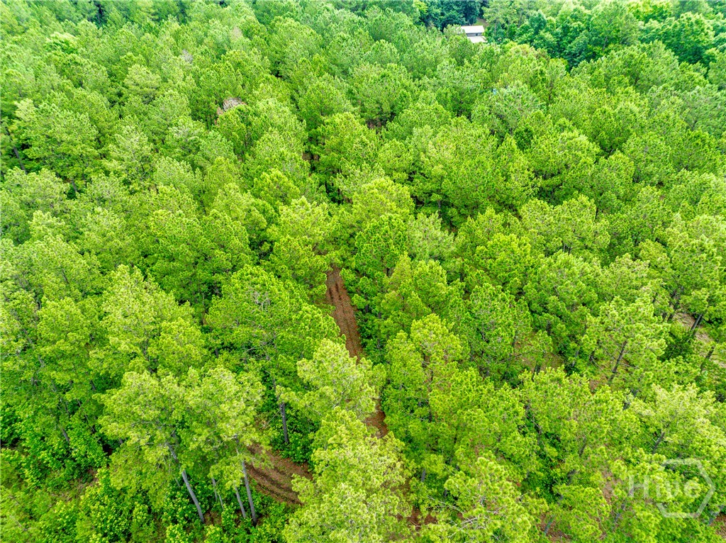 3385 Highway 83 S Property Photo 55