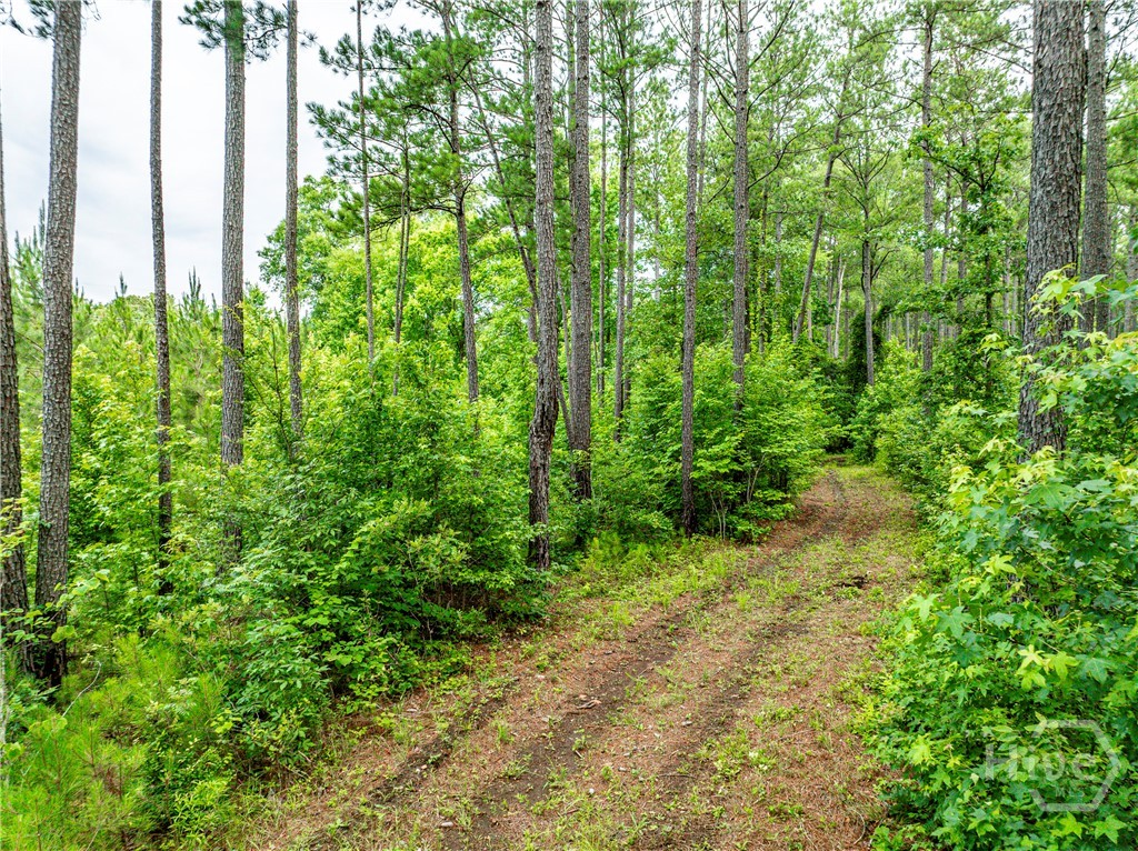 3385 Highway 83 S Property Photo 56