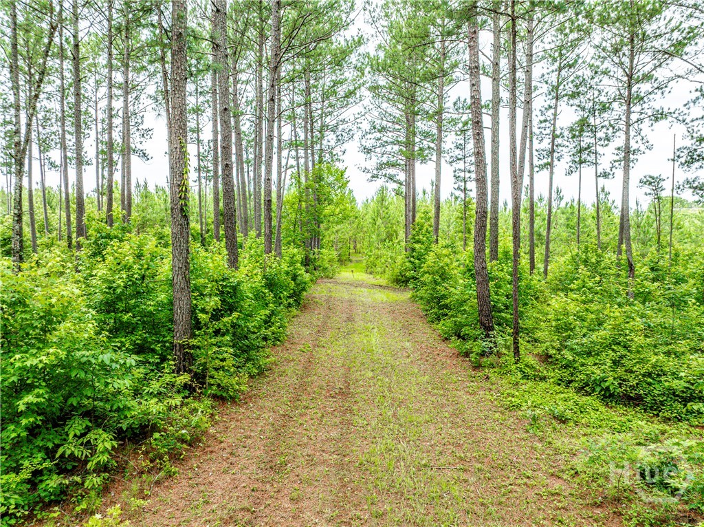 3385 Highway 83 S Property Photo 57